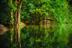 Oil Paint Photo - 18